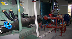 不转让不分包，价格实惠